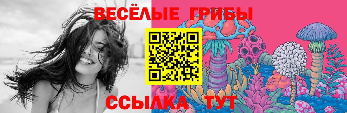 Галлюциногенные грибы MAGIC MUSHROOMS Мыски