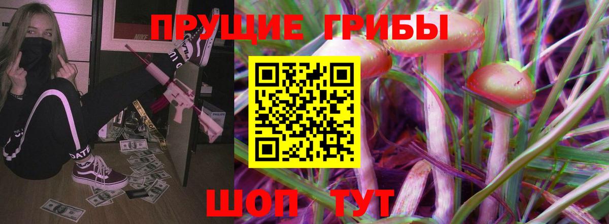 Мыски  Галлюциногенные грибы GOLDEN TEACHER  Вход с VPN 
